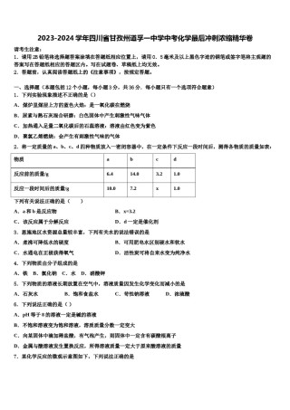 2023-2024学年四川省甘孜州道孚一中学中考化学最后冲刺浓缩精华卷含解析.doc