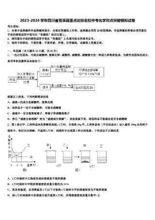 2023-2024学年四川省苍溪县重点达标名校中考化学对点突破模拟试卷含解析.doc