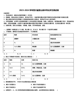 2023-2024学年四川省营山县中考化学五模试卷含解析.doc