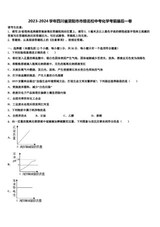 2023-2024学年四川省资阳市市级名校中考化学考前最后一卷含解析.doc