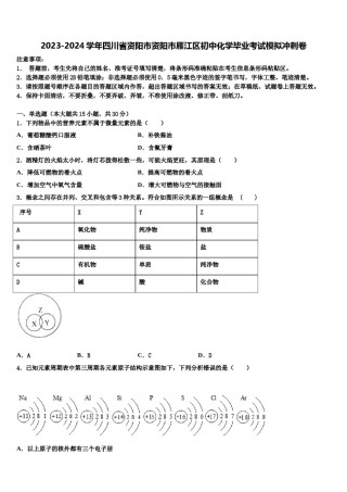 2023-2024学年四川省资阳市资阳市雁江区初中化学毕业考试模拟冲刺卷含解析.doc