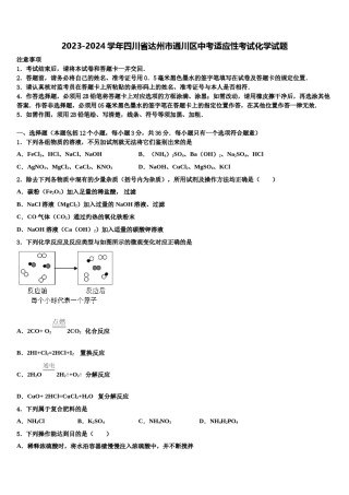 2023-2024学年四川省达州市通川区中考适应性考试化学试题含解析.doc