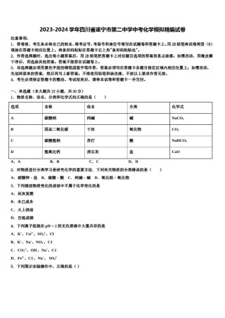 2023-2024学年四川省遂宁市第二中学中考化学模拟精编试卷含解析.doc