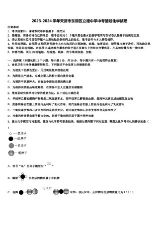 2023-2024学年天津市东丽区立德中学中考猜题化学试卷含解析.doc