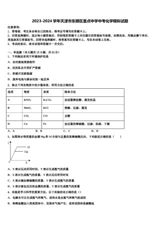 2023-2024学年天津市东丽区重点中学中考化学模拟试题含解析.doc