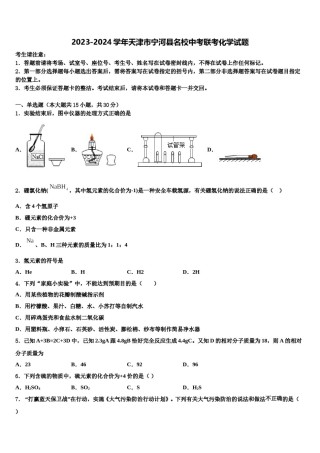 2023-2024学年天津市宁河县名校中考联考化学试题含解析.doc