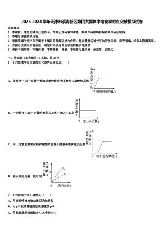 2023-2024学年天津市滨海新区第四共同体中考化学对点突破模拟试卷含解析.doc