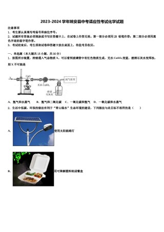 2023-2024学年姚安县中考适应性考试化学试题含解析.doc