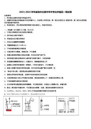 2023-2024学年威海市古寨中学中考化学最后一模试卷含解析.doc