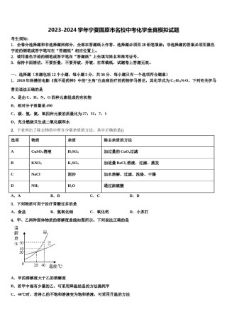 2023-2024学年宁夏固原市名校中考化学全真模拟试题含解析.doc