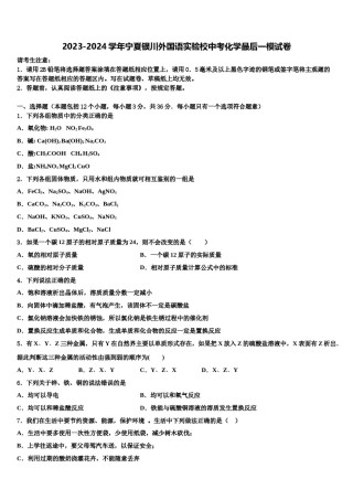 2023-2024学年宁夏银川外国语实验校中考化学最后一模试卷含解析.doc