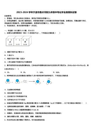 2023-2024学年宁波市惠贞书院九年级中考化学全真模拟试卷含解析.doc