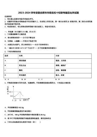 2023-2024学年安徽合肥市市级名校十校联考最后化学试题含解析.doc