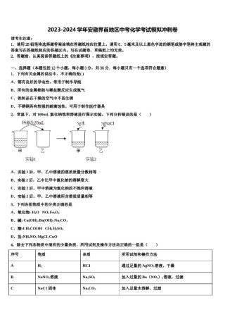 2023-2024学年安徽界首地区中考化学考试模拟冲刺卷含解析.doc