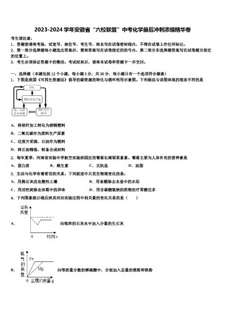 2023-2024学年安徽省“六校联盟”中考化学最后冲刺浓缩精华卷含解析.doc