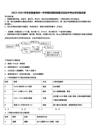 2023-2024学年安徽省亳州一中学南校国际部重点名校中考化学仿真试卷含解析.doc
