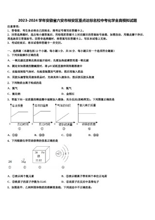 2023-2024学年安徽省六安市裕安区重点达标名校中考化学全真模拟试题含解析.doc