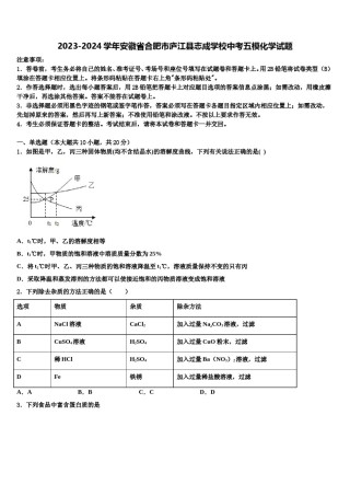 2023-2024学年安徽省合肥市庐江县志成学校中考五模化学试题含解析.doc