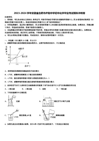 2023-2024学年安徽省合肥市庐阳中学初中化学毕业考试模拟冲刺卷含解析.doc