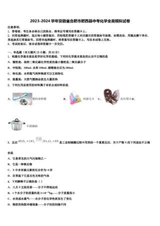 2023-2024学年安徽省合肥市肥西县中考化学全真模拟试卷含解析.doc