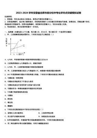 2023-2024学年安徽省合肥市部分校中考化学对点突破模拟试卷含解析.doc