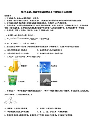 2023-2024学年安徽省固镇县十校联考最后化学试题含解析.doc