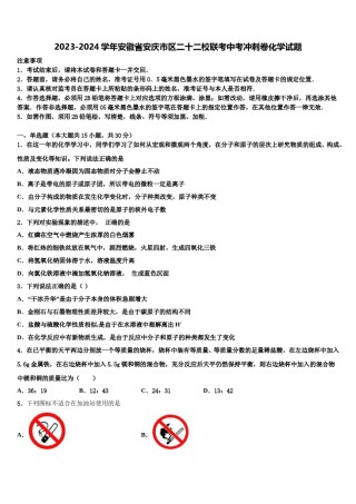 2023-2024学年安徽省安庆市区二十二校联考中考冲刺卷化学试题含解析.doc