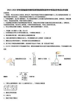 2023-2024学年安徽省宿州埇桥区教育集团四校联考中考适应性考试化学试题含解析.doc