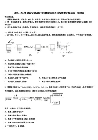 2023-2024学年安徽省宿州市埇桥区重点名校中考化学最后一模试卷含解析.doc