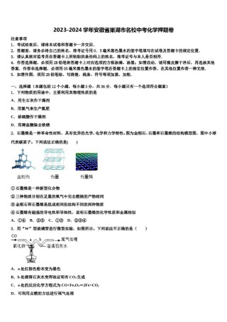 2023-2024学年安徽省巢湖市名校中考化学押题卷含解析.doc