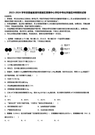 2023-2024学年安徽省巢湖市居巢区黄麓中心学校中考化学最后冲刺模拟试卷含解析.doc