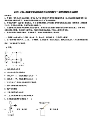 2023-2024学年安徽省巢湖市达标名校毕业升学考试模拟卷化学卷含解析.doc