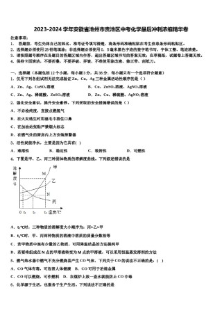 2023-2024学年安徽省池州市贵池区中考化学最后冲刺浓缩精华卷含解析.doc