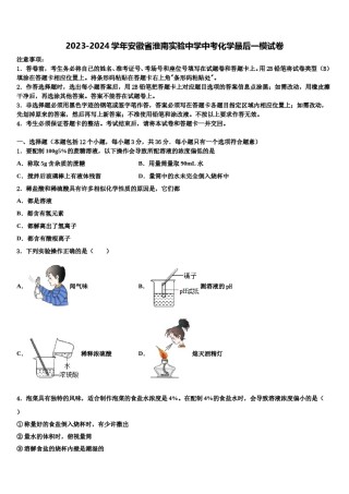 2023-2024学年安徽省淮南实验中学中考化学最后一模试卷含解析.doc
