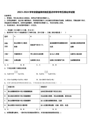 2023-2024学年安徽省滁州地区重点中学中考五模化学试题含解析.doc
