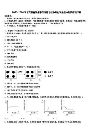 2023-2024学年安徽省滁州市定远育才校中考化学最后冲刺浓缩精华卷含解析.doc