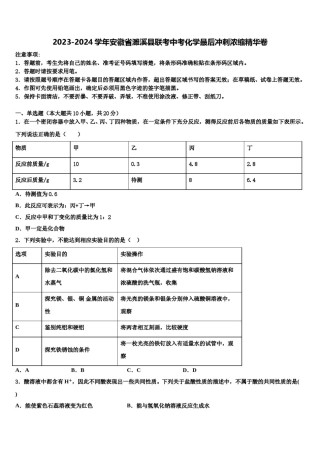 2023-2024学年安徽省濉溪县联考中考化学最后冲刺浓缩精华卷含解析.doc