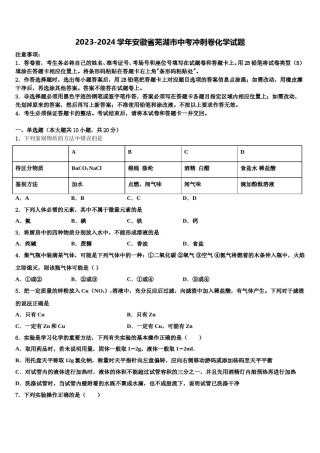 2023-2024学年安徽省芜湖市中考冲刺卷化学试题含解析.doc