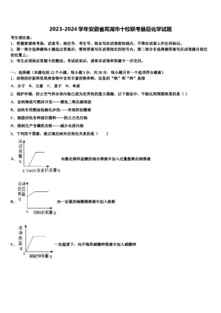2023-2024学年安徽省芜湖市十校联考最后化学试题含解析.doc