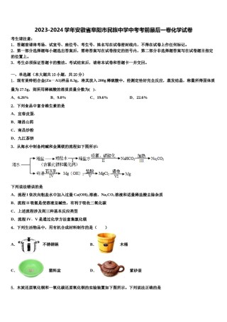 2023-2024学年安徽省阜阳市民族中学中考考前最后一卷化学试卷含解析.doc