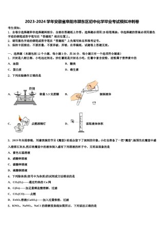 2023-2024学年安徽省阜阳市颍东区初中化学毕业考试模拟冲刺卷含解析.doc