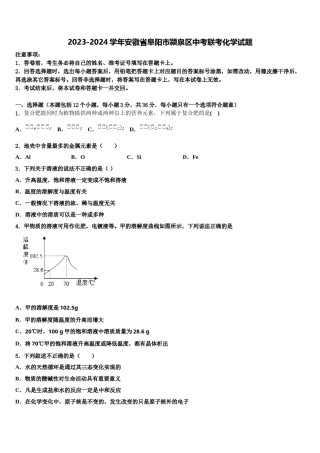 2023-2024学年安徽省阜阳市颍泉区中考联考化学试题含解析.doc