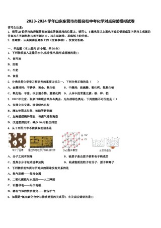 2023-2024学年山东东营市市级名校中考化学对点突破模拟试卷含解析.doc