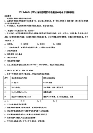 2023-2024学年山东新泰莆田市级名校中考化学模拟试题含解析.doc