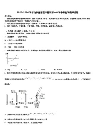 2023-2024学年山东省东营市胜利第一中学中考化学模拟试题含解析.doc