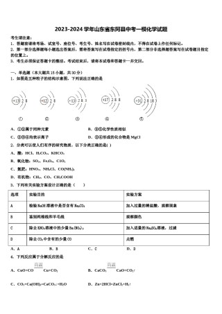 2023-2024学年山东省东阿县中考一模化学试题含解析.doc