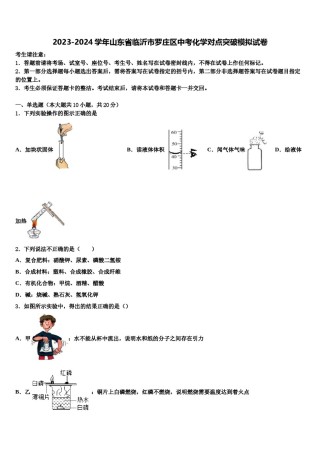 2023-2024学年山东省临沂市罗庄区中考化学对点突破模拟试卷含解析.doc