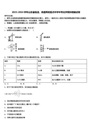 2023-2024学年山东省临清、高唐两地重点中学中考化学模拟精编试卷含解析.doc