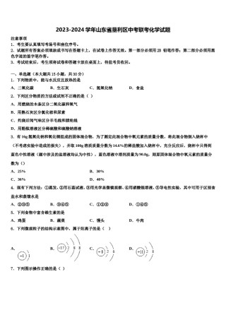 2023-2024学年山东省垦利区中考联考化学试题含解析.doc
