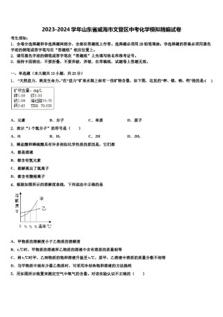 2023-2024学年山东省威海市文登区中考化学模拟精编试卷含解析.doc